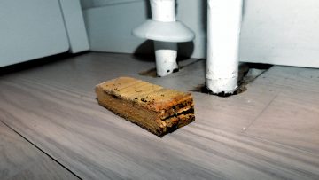 Materiale- og tapeprøve – analyse for skimmelsvampevækst