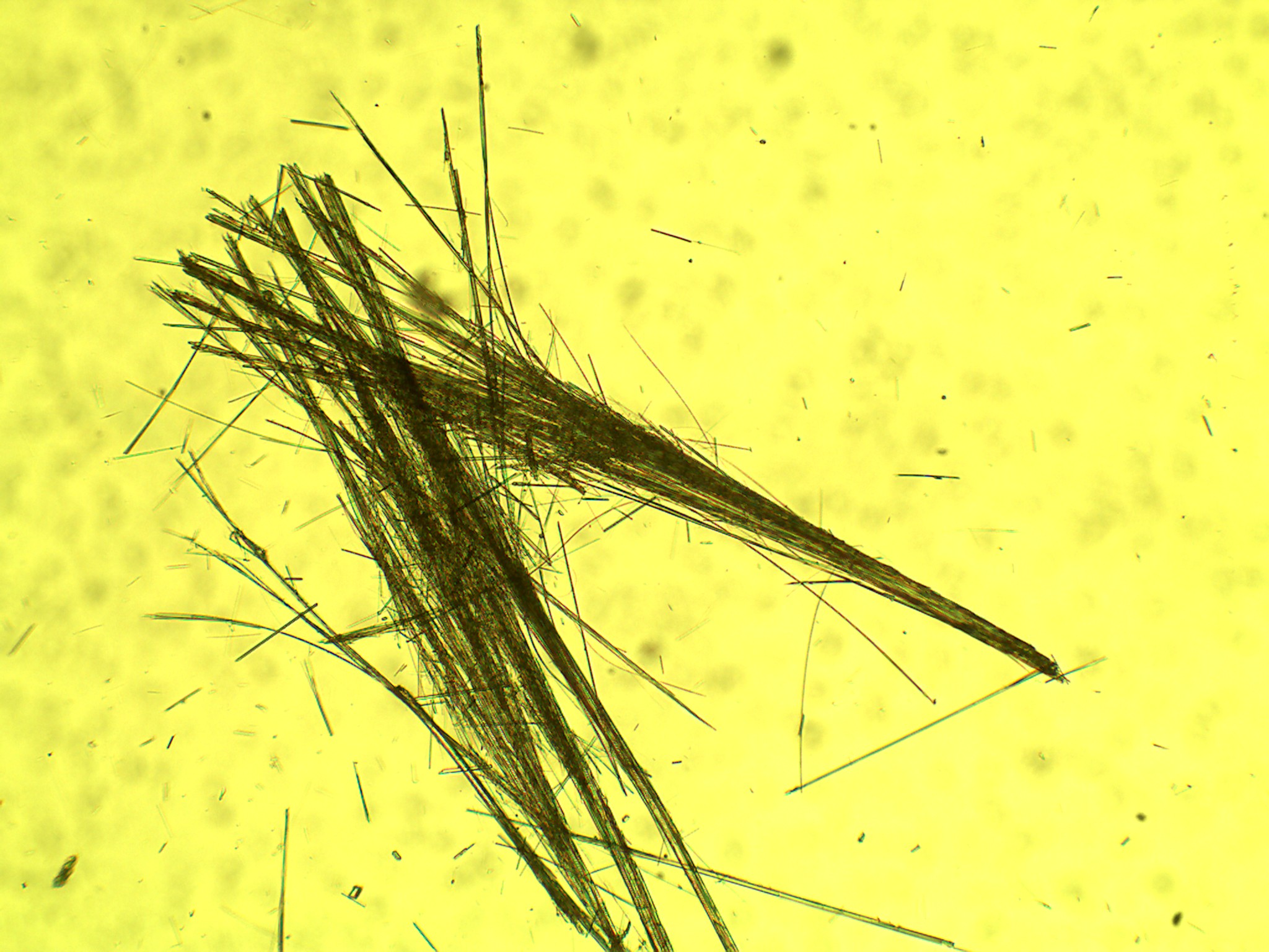 Asbestanalyse